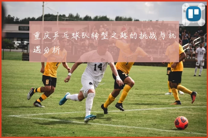 重庆乒乓球队转型之路的挑战与机遇分析