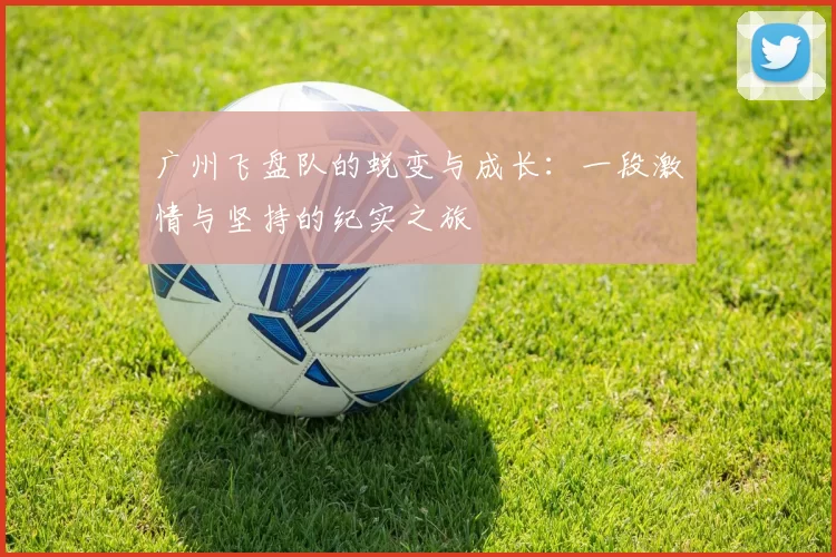 广州飞盘队的蜕变与成长：一段激情与坚持的纪实之旅