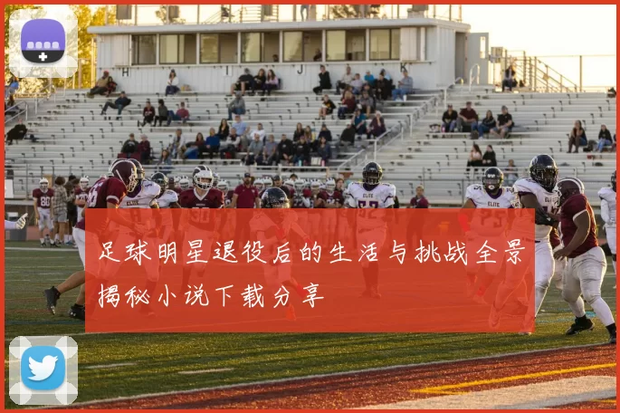 足球明星退役后的生活与挑战全景揭秘小说下载分享