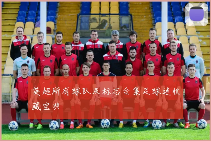 英超所有球队及标志合集足球迷收藏宝典