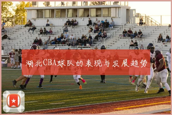 湖北CBA球队的表现与发展趋势
