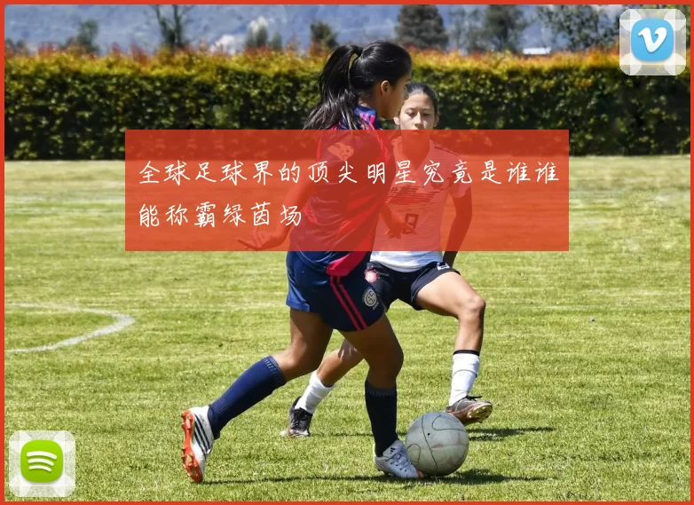 全球足球界的顶尖明星究竟是谁谁能称霸绿茵场