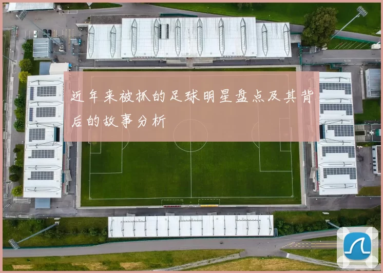 近年来被抓的足球明星盘点及其背后的故事分析