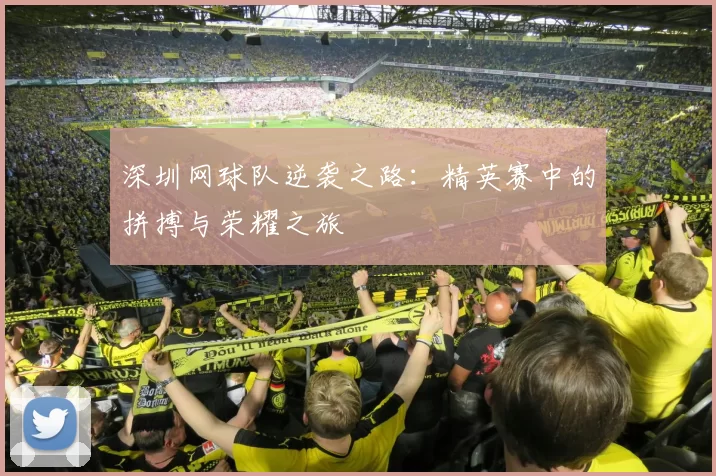 深圳网球队逆袭之路：精英赛中的拼搏与荣耀之旅