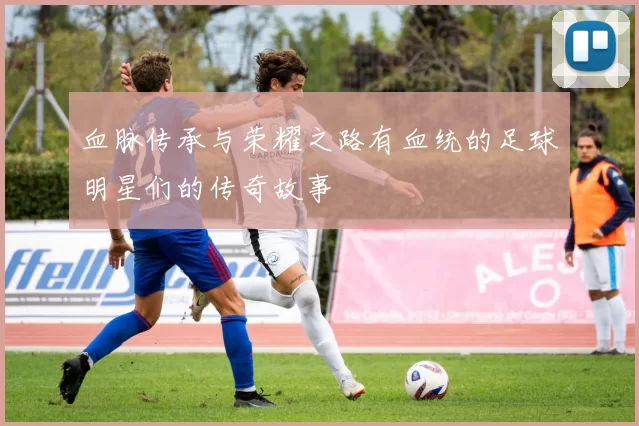 血脉传承与荣耀之路有血统的足球明星们的传奇故事