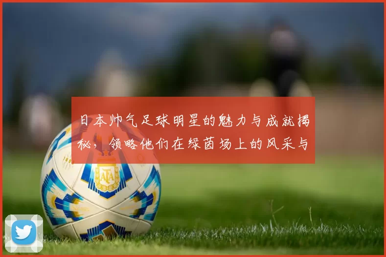 日本帅气足球明星的魅力与成就揭秘，领略他们在绿茵场上的风采与激情