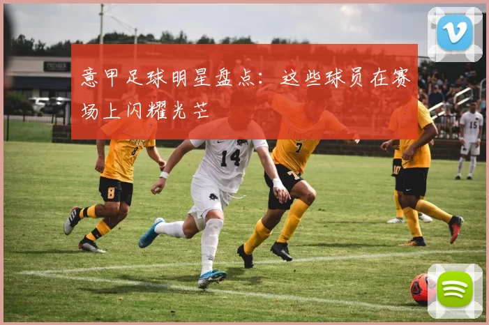 意甲足球明星盘点：这些球员在赛场上闪耀光芒