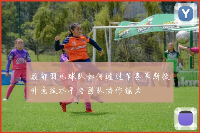 成都羽毛球队如何通过节奏革新提升竞技水平与团队协作能力
