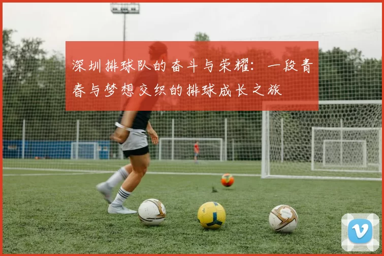 深圳排球队的奋斗与荣耀：一段青春与梦想交织的排球成长之旅