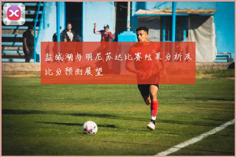 盐城湖与明尼苏达比赛结果分析及比分预测展望