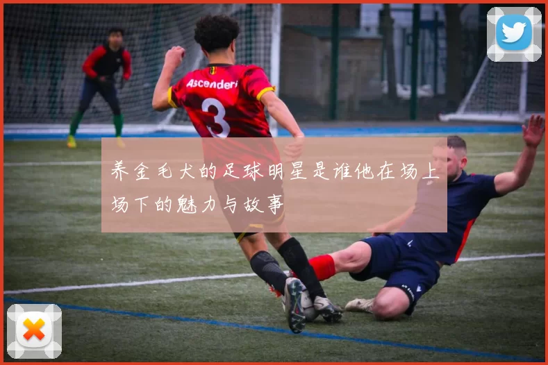 养金毛犬的足球明星是谁他在场上场下的魅力与故事