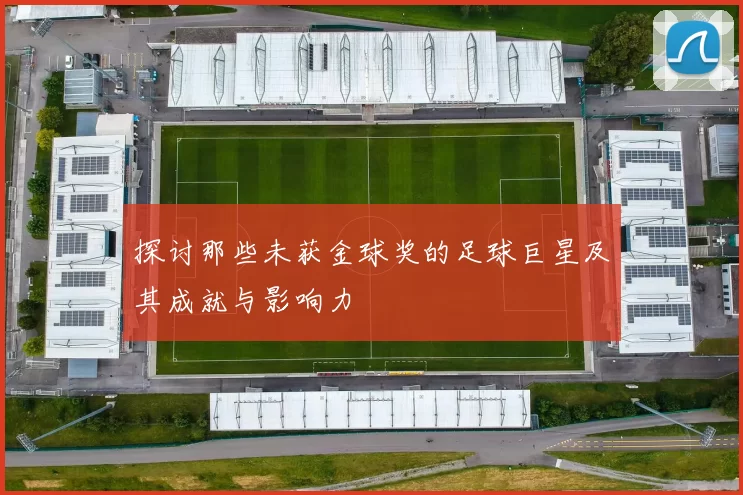探讨那些未获金球奖的足球巨星及其成就与影响力