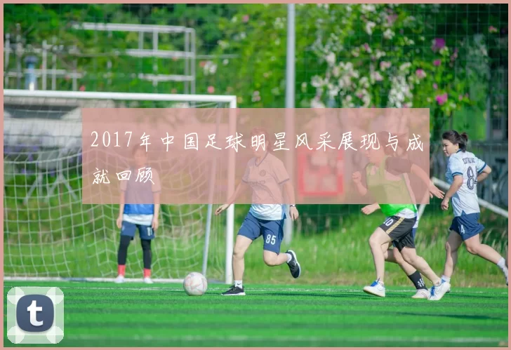 2017年中国足球明星风采展现与成就回顾