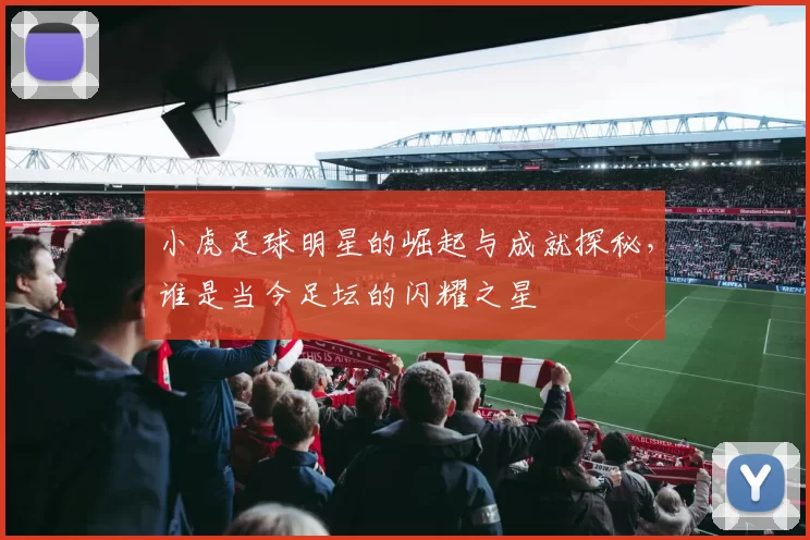 小虎足球明星的崛起与成就探秘，谁是当今足坛的闪耀之星