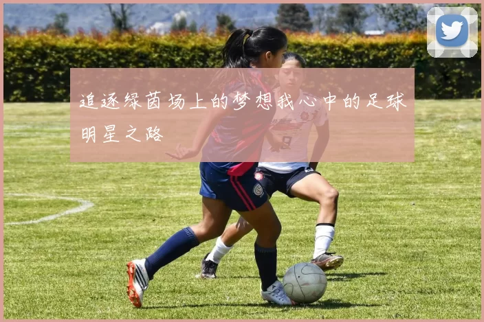 追逐绿茵场上的梦想我心中的足球明星之路