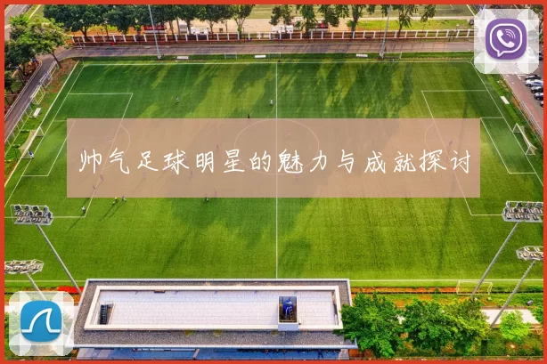 帅气足球明星的魅力与成就探讨
