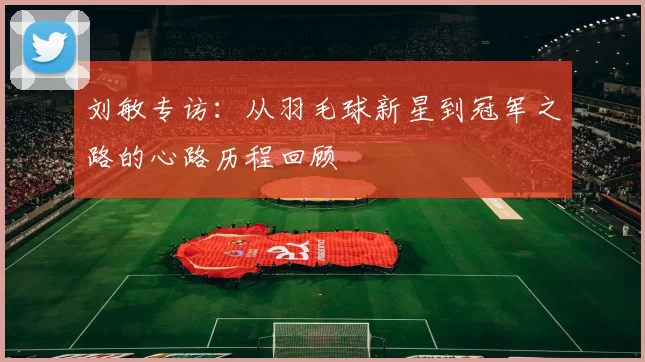 刘敏专访：从羽毛球新星到冠军之路的心路历程回顾