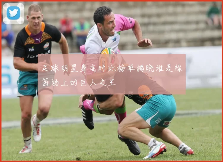 足球明星身高对比榜单揭晓谁是绿茵场上的巨人之王