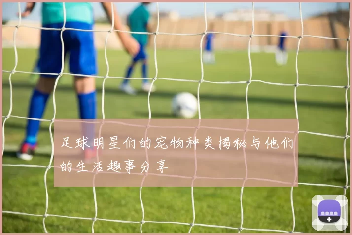 足球明星们的宠物种类揭秘与他们的生活趣事分享