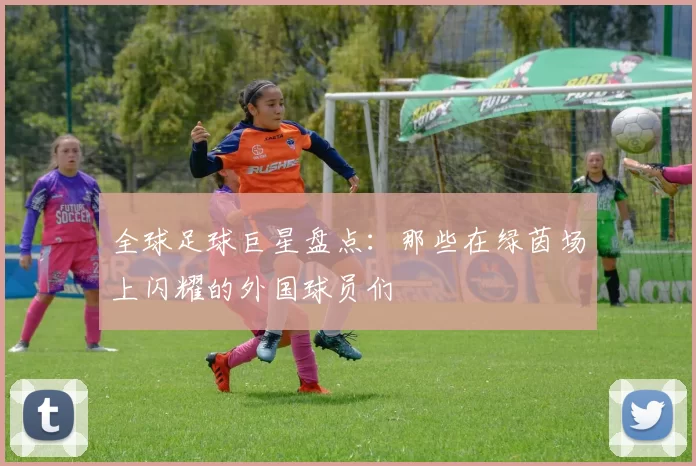 全球足球巨星盘点：那些在绿茵场上闪耀的外国球员们