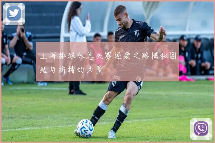 上海排球队总决赛逆袭之路揭秘团结与拼搏的力量