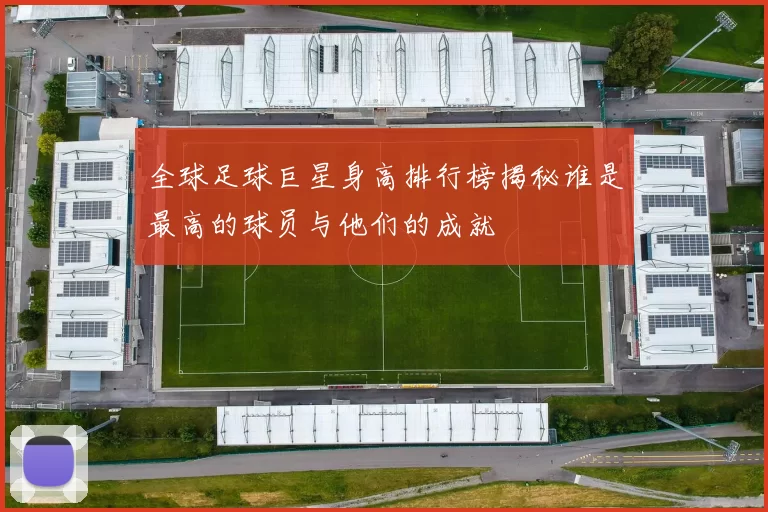 全球足球巨星身高排行榜揭秘谁是最高的球员与他们的成就