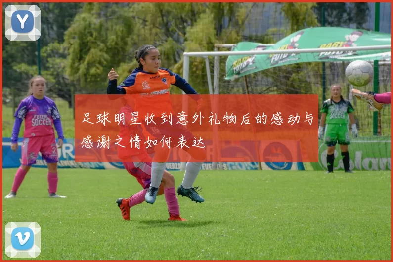 足球明星收到意外礼物后的感动与感谢之情如何表达