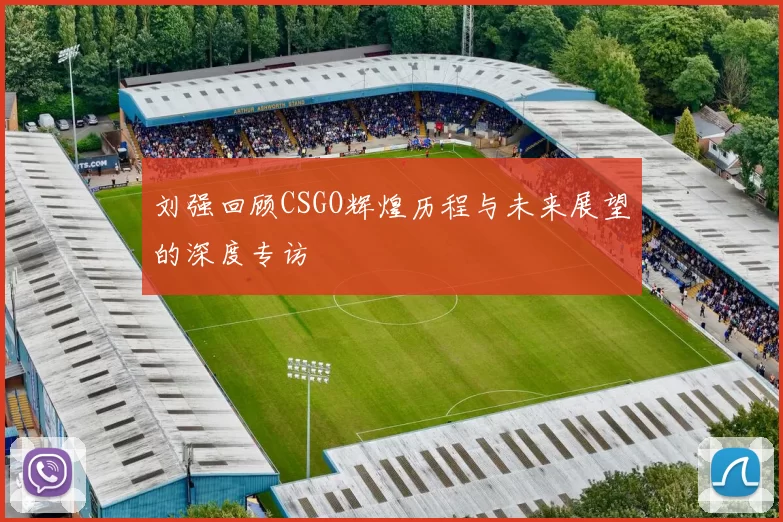 刘强回顾CSGO辉煌历程与未来展望的深度专访