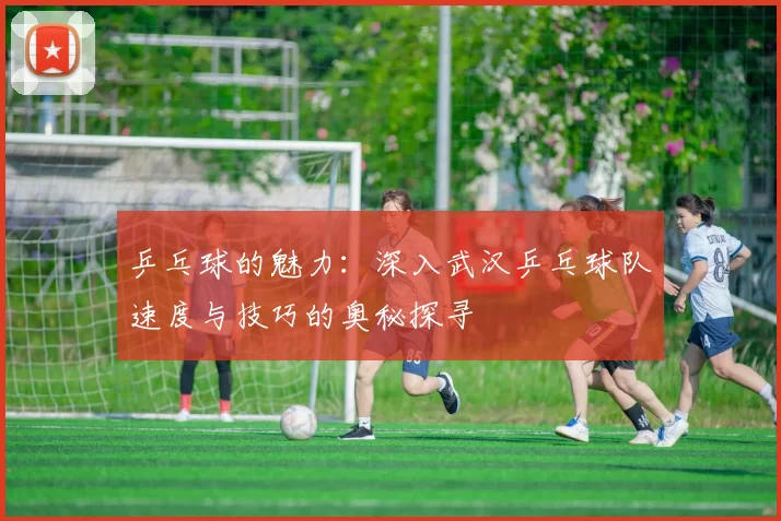 乒乓球的魅力：深入武汉乒乓球队速度与技巧的奥秘探寻