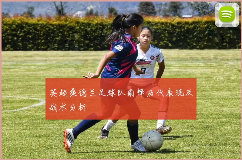 英超桑德兰足球队前锋历代表现及战术分析