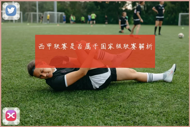 西甲联赛是否属于国家级联赛解析