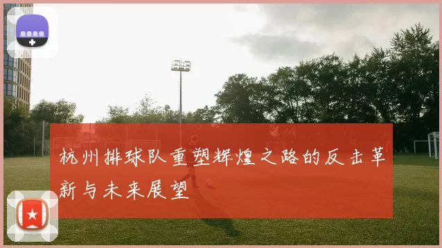 杭州排球队重塑辉煌之路的反击革新与未来展望